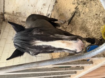 Customer Success Gallery - 